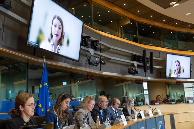 AFET EUDS joint meeting - Public hearing on democratic resilience and countering disinformation – the case of the Western Balkans