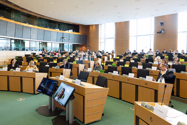 AFET EUDS joint meeting - Public hearing on democratic resilience and countering disinformation – the case of the Western Balkans