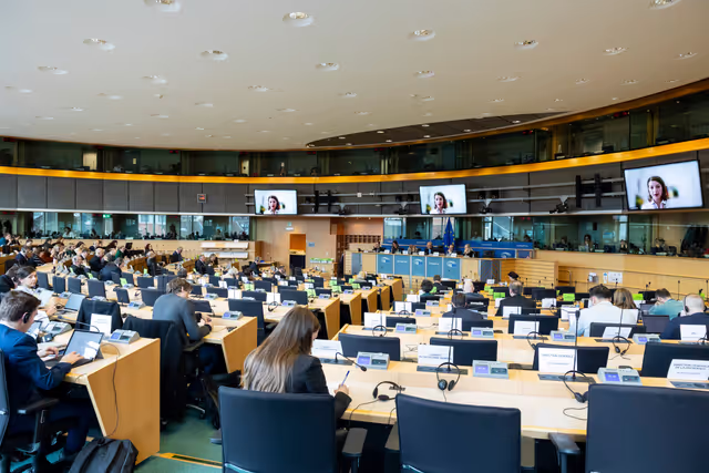 AFET EUDS joint meeting - Public hearing on democratic resilience and countering disinformation – the case of the Western Balkans