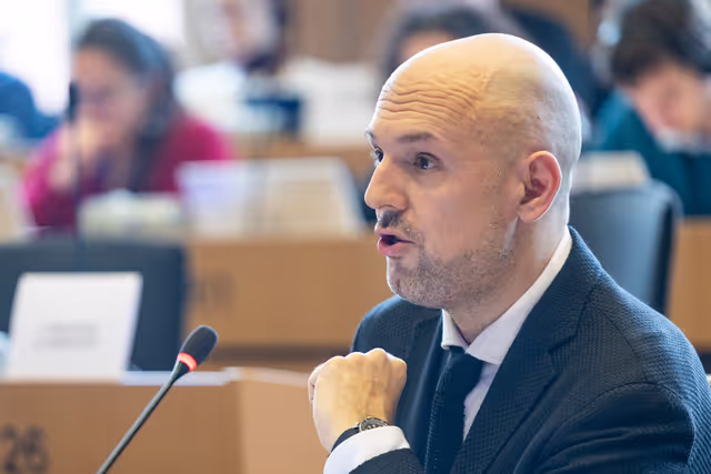 AFET EUDS joint meeting - Public hearing on democratic resilience and countering disinformation – the case of the Western Balkans