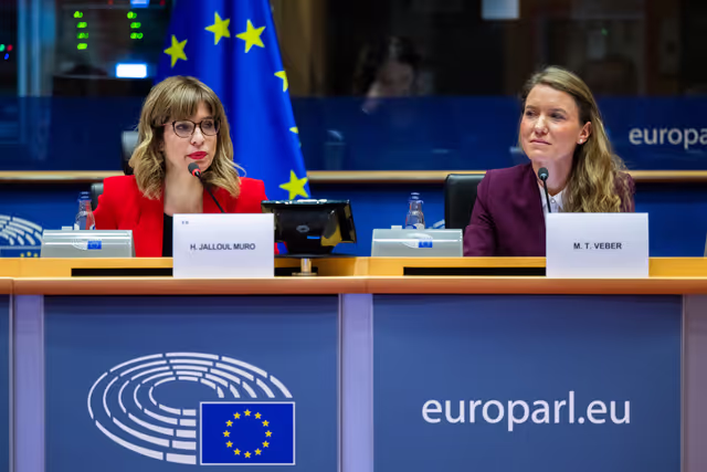 AFET - Presentation of the in-depth analysis on EU sanctions and Russia’s frozen assets