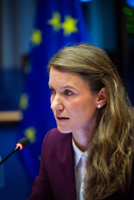 Foto 21: AFET - Presentation of the in-depth analysis on EU sanctions and Russia’s frozen assets