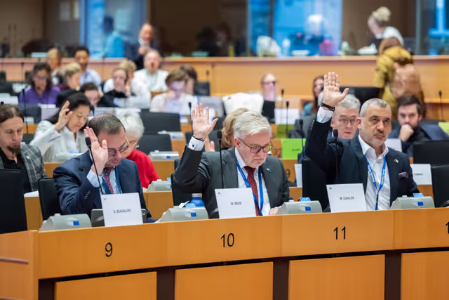 Nuotrauka 33: AFET -  Vote on the Implementation of the common foreign and security policy – annual report 2025