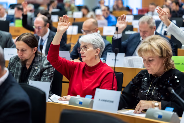 Nuotrauka 13: AFET -  Vote on the Implementation of the common foreign and security policy – annual report 2025