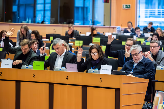 Nuotrauka 14: AFET -  Vote on the Implementation of the common foreign and security policy – annual report 2025