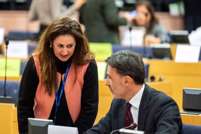 Nuotrauka 29: HOUS EMPL - Joint public hearing '' Skills Shortages in EU Construction: Addressing Workforce Challenge to Boost Housing Supply ''