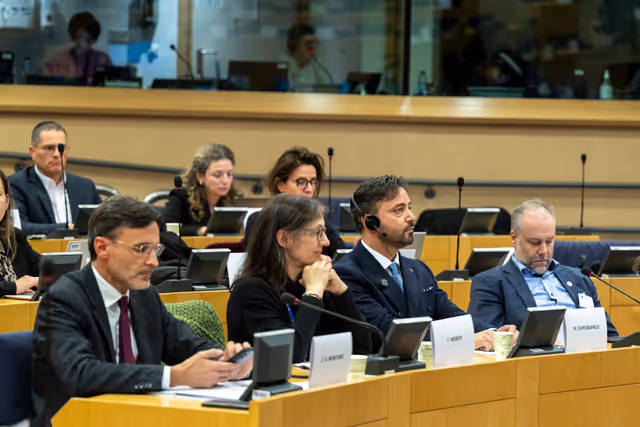 Nuotrauka 21: HOUS EMPL - Joint public hearing '' Skills Shortages in EU Construction: Addressing Workforce Challenge to Boost Housing Supply ''