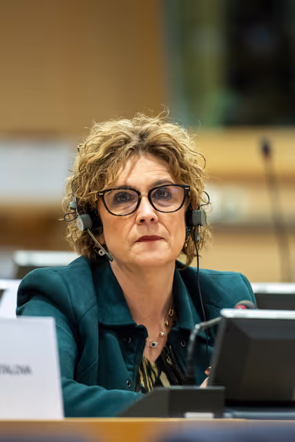 Nuotrauka 19: HOUS EMPL - Joint public hearing '' Skills Shortages in EU Construction: Addressing Workforce Challenge to Boost Housing Supply ''