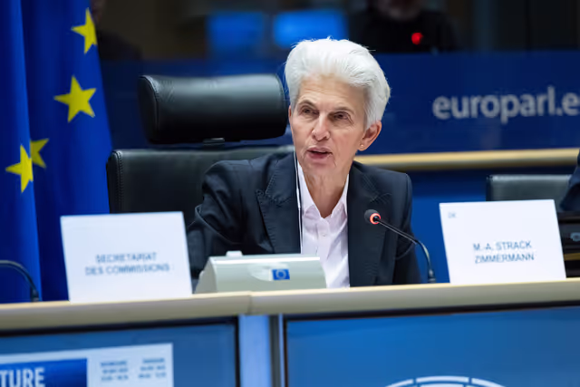 Photo 6: SEDE Interparliamentary Committee - The Future of European Defence