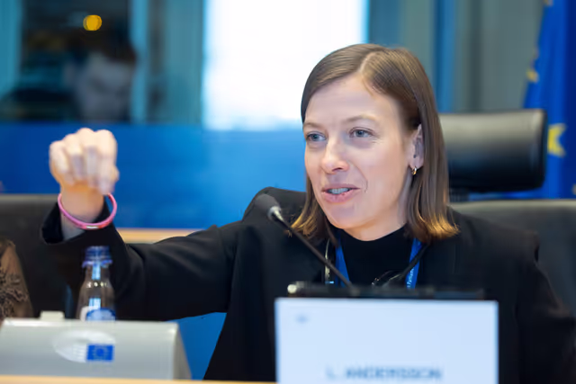 Foto 1: EMPL - Public Hearing on ' Health and safety measures for workers in high-risk professions '