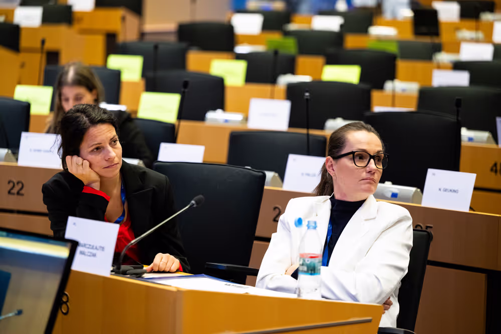 EMPL - Disability Rights Week 2025 - Workshop : Independent living of persons with disabilities in the European Union - Implementation of Article 19 of the UN Convention on the Rights of Persons with Disabilities