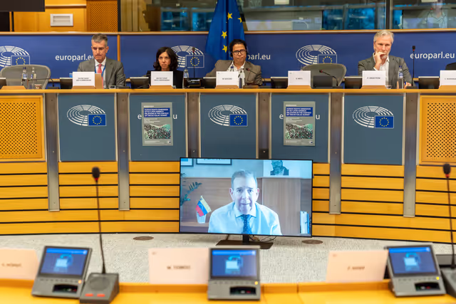 DROI - Workshop on the Human rights dimension of EU-Latin America relations in the context of the EU-CELAC Summit