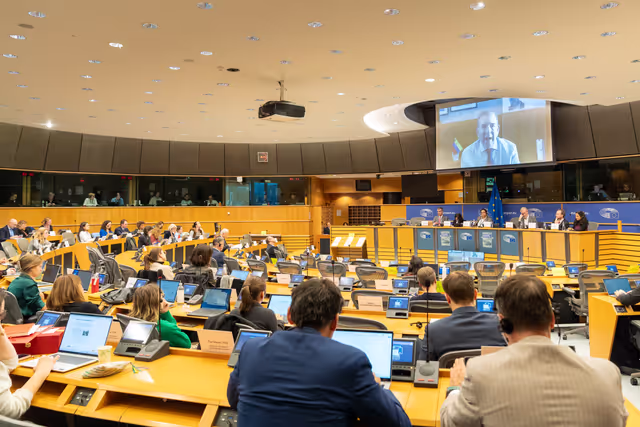 Photo 4 : DROI - Workshop on the Human rights dimension of EU-Latin America relations in the context of the EU-CELAC Summit