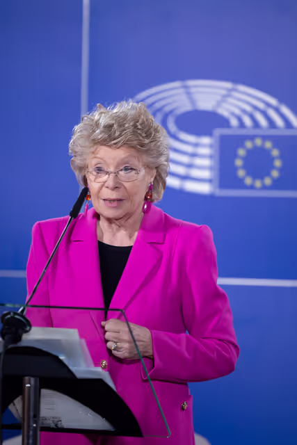 Fotografia 5: Conference ' The Single Market: Delivering for Citizens, Boosting our Economy, Forging Links '