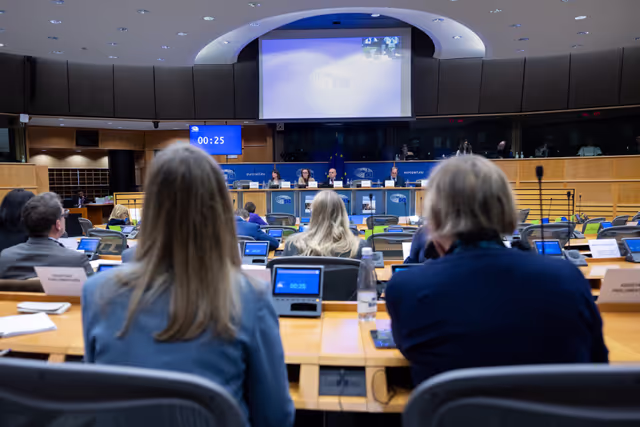 Photo 4: JURI - Workshop on the 45th Anniversary of the Signing of the 1980 Hague Convention on Civil Aspects of International Child Abduction