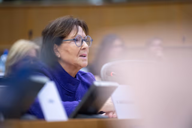 Photo 12: JURI - Workshop on the 45th Anniversary of the Signing of the 1980 Hague Convention on Civil Aspects of International Child Abduction