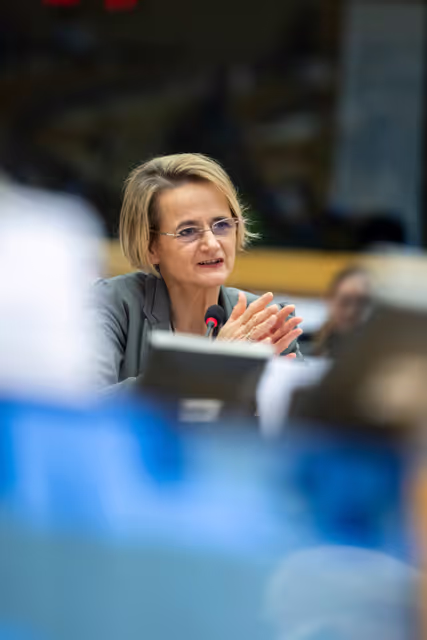 Снимка 7: ECON - Monetary Dialogue with Christine Lagarde, President of the European Central Bank