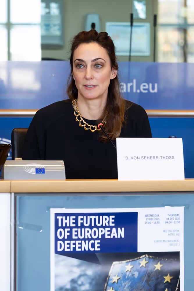 SEDE Interparliamentary Committee - The Future of European Defence