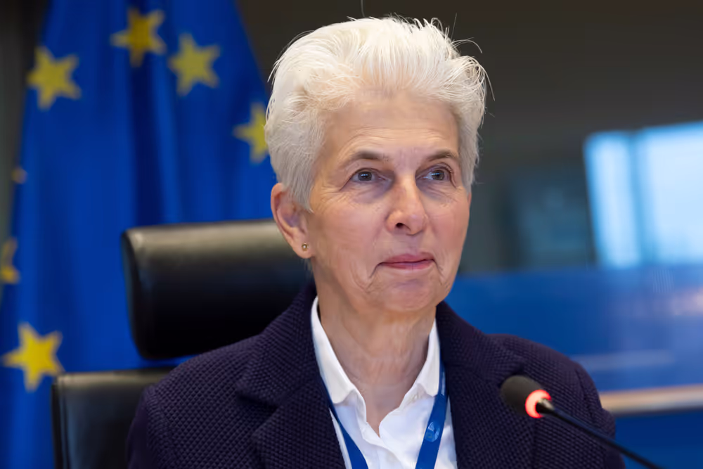 SEDE Interparliamentary Committee - The Future of European Defence