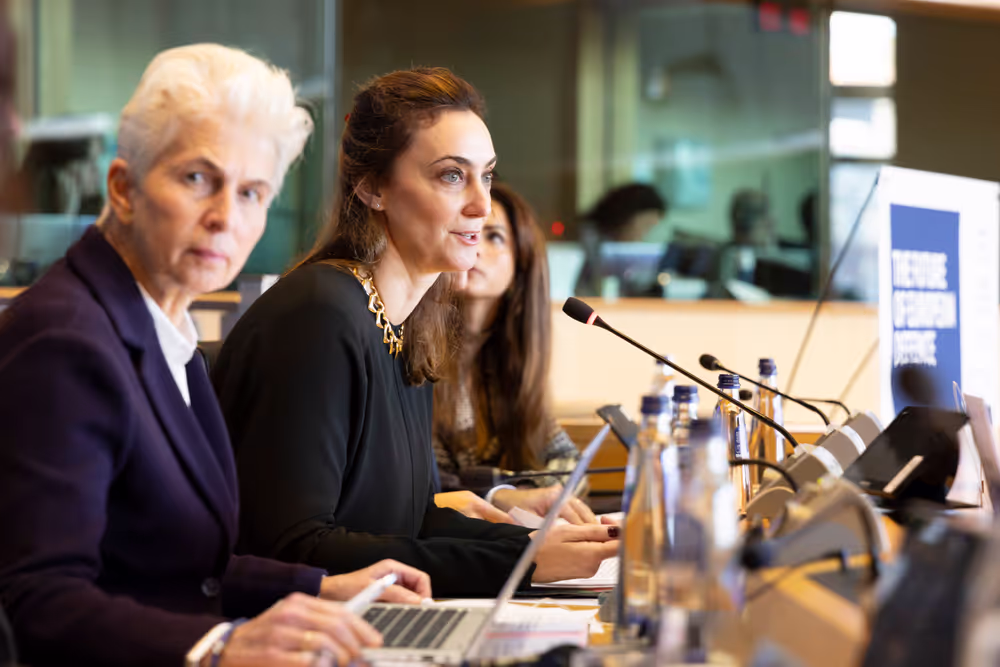 SEDE Interparliamentary Committee - The Future of European Defence