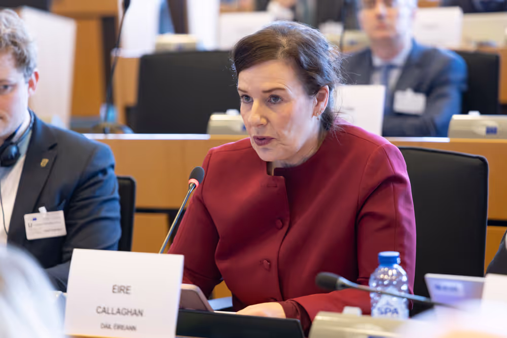 SEDE Interparliamentary Committee - The Future of European Defence