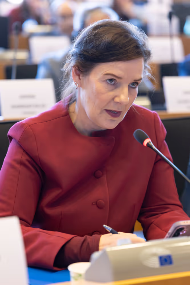 SEDE Interparliamentary Committee - The Future of European Defence