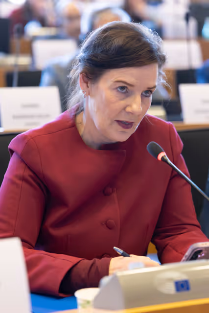 Nuotrauka 1: SEDE Interparliamentary Committee - The Future of European Defence