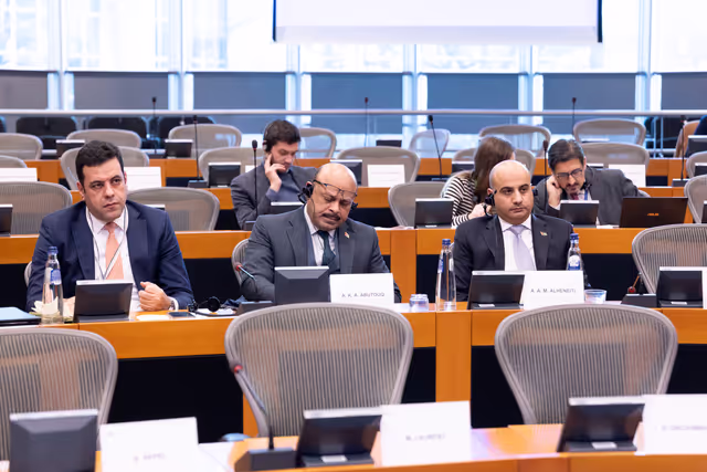 Photo 27: 12th EU-Jordan Interparliamentary Meeting