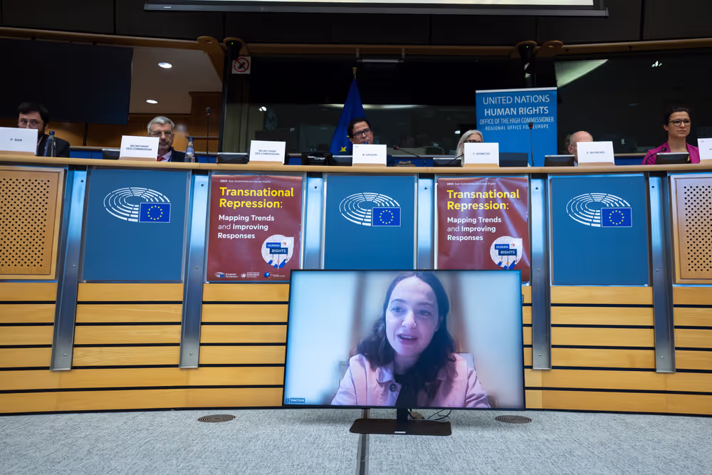 DROI - Policy Dialogue on Transnational Repression : Mapping Trends and Improving Responses