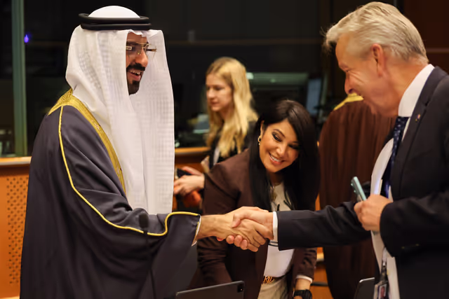 Delegation for Relations with the Arab Peninsula (DARP) - Meeting with a delagation Members from Bahrain