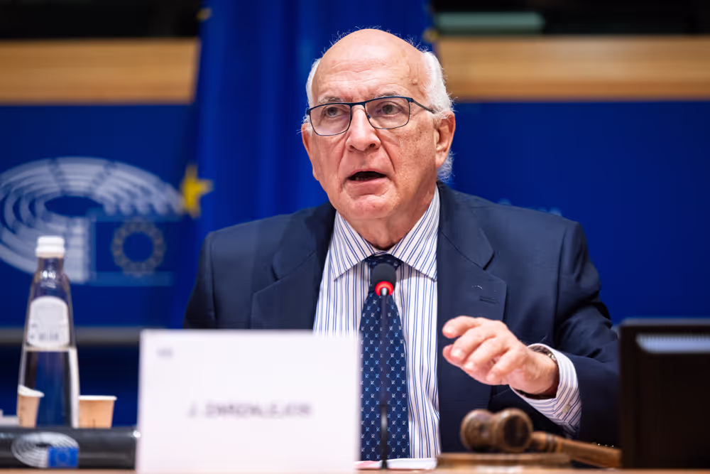 LIBE - The rights, freedoms and remaining gaps in the protection of persons with disabilities in the EU