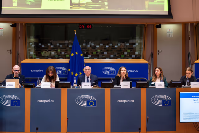 LIBE - The rights, freedoms and remaining gaps in the protection of persons with disabilities in the EU