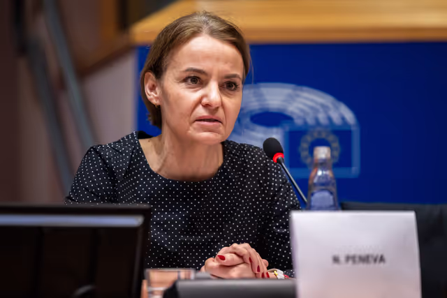 Foto 3: LIBE - The rights, freedoms and remaining gaps in the protection of persons with disabilities in the EU