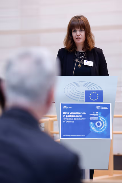 Fotografie 20: EPRS-ECPRD joint seminar on data visualisation for all four Areas of Interest
