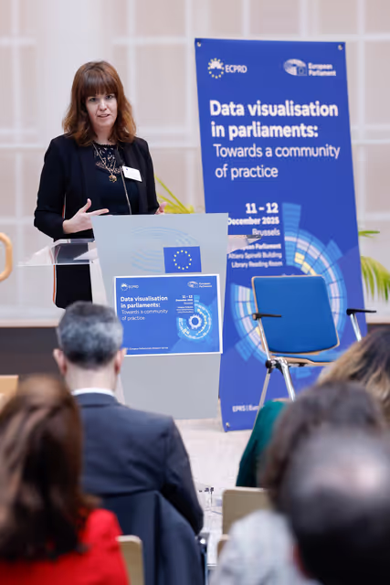 Fotografie 17: EPRS-ECPRD joint seminar on data visualisation for all four Areas of Interest