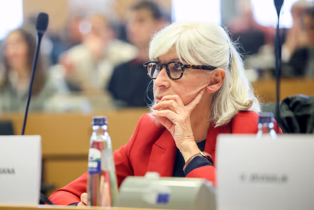 Nuotrauka 31: ENVI - Conference ' From Promise to Action: 10 years of the Paris Agreement '