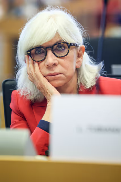 ENVI - Conference ' From Promise to Action: 10 years of the Paris Agreement '