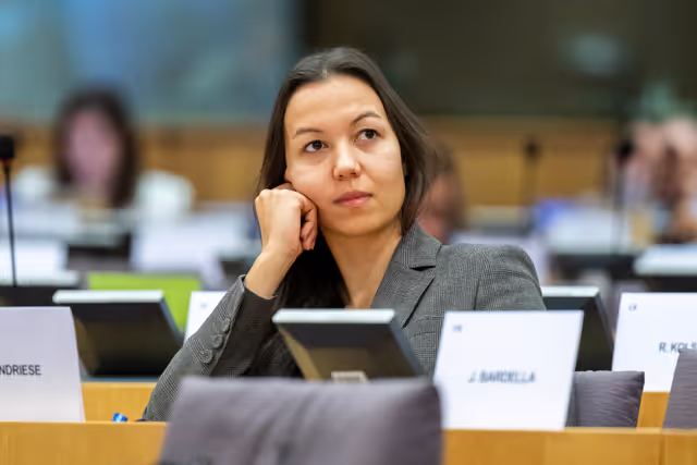 Fotografie 17: AFET - Public hearing on illegal settlements in the West Bank