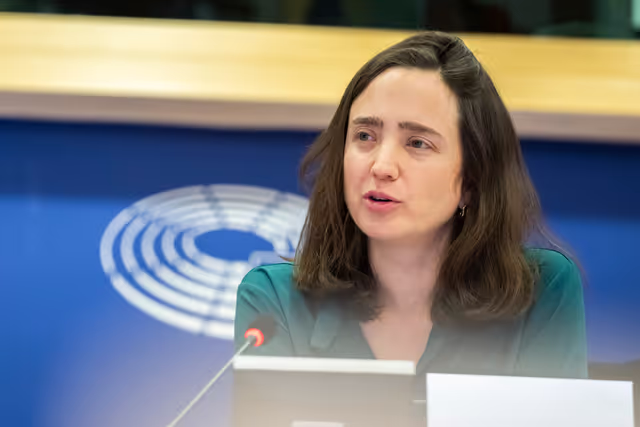 Fotografie 16: AFET - Public hearing on illegal settlements in the West Bank