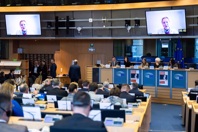 LIBE - Interparliamentary Committee Meeting on 'The situation of the Rule of Law in the EU'