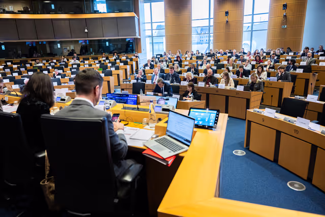 LIBE - Interparliamentary Committee Meeting on 'The situation of the Rule of Law in the EU'