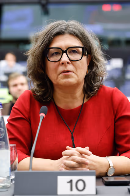 Foto 14: AFET DEVE DROI - Exchange of views with the 2025 Sakharov Prize Laureates