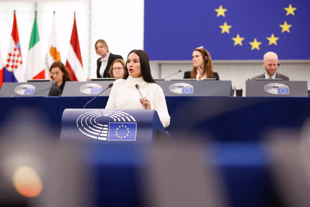 Photo 13: EP Plenary session - Amending certain CAP Regulations