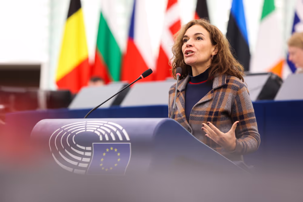 EP Plenary session - Incentivising defence-related investments in the EU budget to implement the ReArm Europe Plan