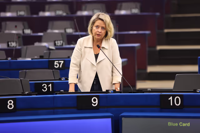 Photo 17 : EP Plenary session - Incentivising defence-related investments in the EU budget to implement the ReArm Europe Plan