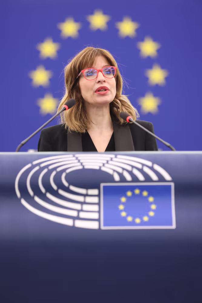 EP Plenary session - Short presentation - Relations between the EU and Saudi Arabia