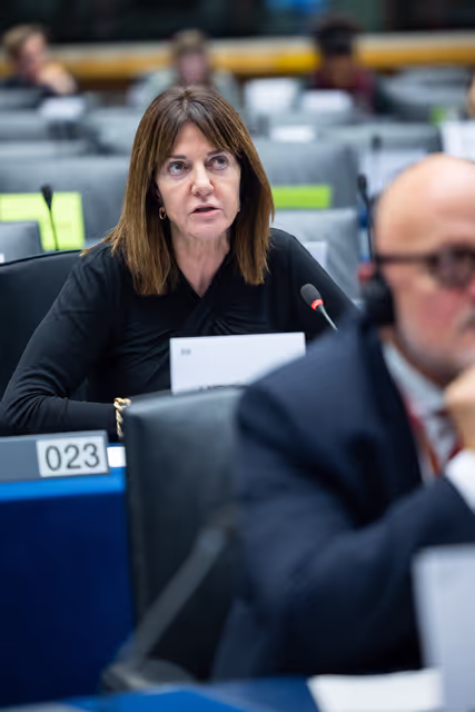 ECON EMPL - Economic Dialogue on the European Semester 2026