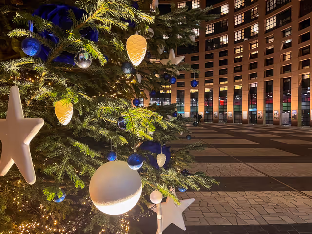 Strasbourg's Plenary session through the lens - Week 51