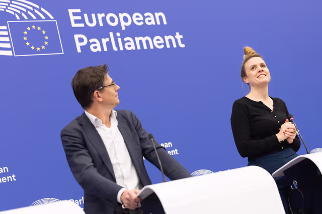 Press briefing Greens/EFA