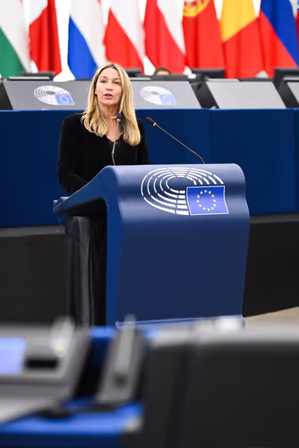 EP Plenary session - Presentation of the automotive package